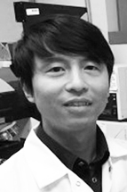 Yuanquan Song, PhD